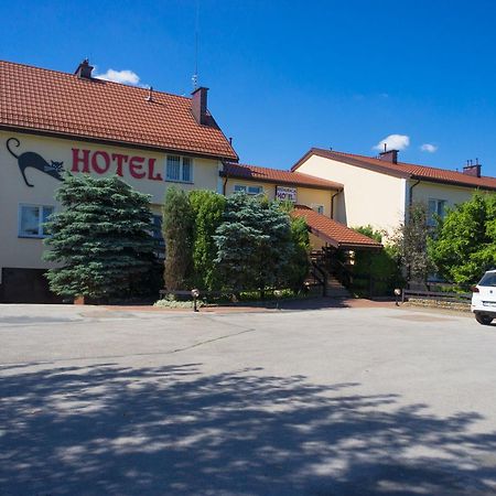 Hotel Kot Siestrzen エクステリア 写真