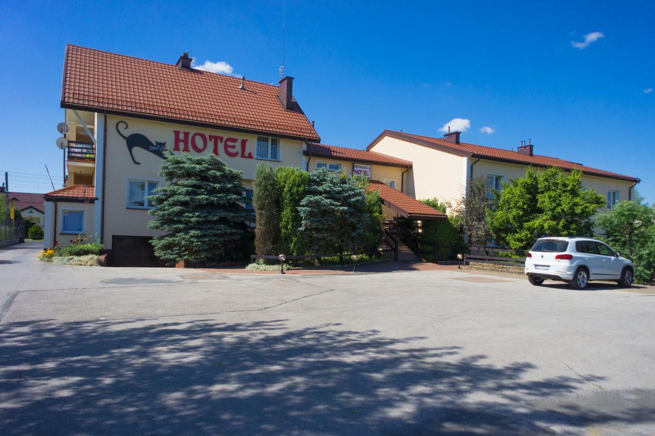 Hotel Kot Siestrzen エクステリア 写真